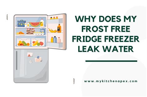 deep freezer leaking water|Deep Freezer Leaking Water Underneath: Common Causes And。